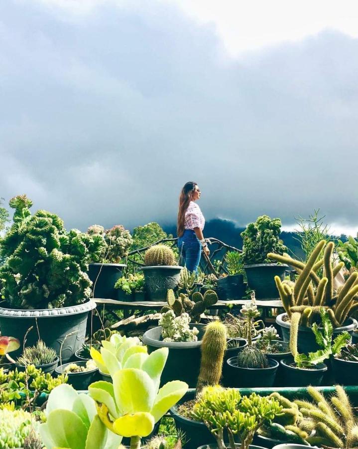 Hotel Flower Garden